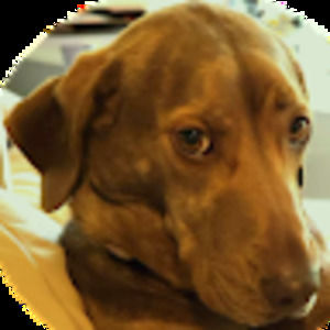 Meet your Posher, Cynthia